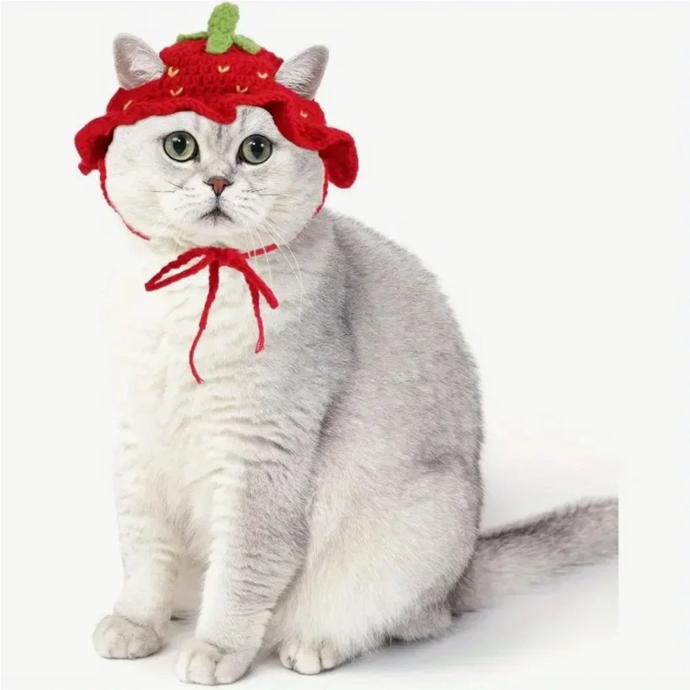 Red Strawberry Handcrafted Crochet Cat Dog or Small Pet Hat (Sm)